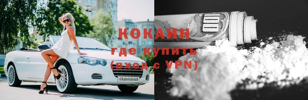ГАЛЛЮЦИНОГЕННЫЕ ГРИБЫ Заволжье