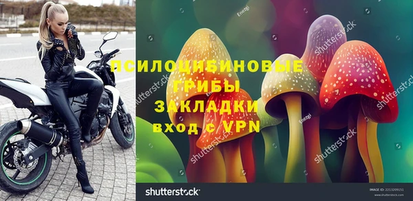 ГАЛЛЮЦИНОГЕННЫЕ ГРИБЫ Заволжье