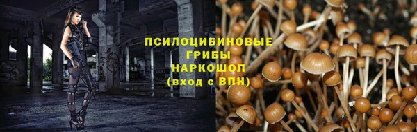 ECSTASY Зерноград