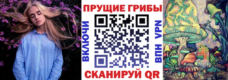KRAKEN сайт  купить  сайты  Воркута  Псилоцибиновые грибы MAGIC MUSHROOMS 
