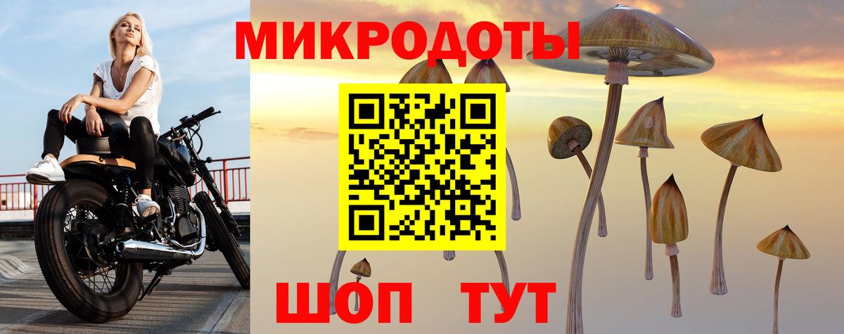 Галлюциногенные грибы GOLDEN TEACHER  Воркута 